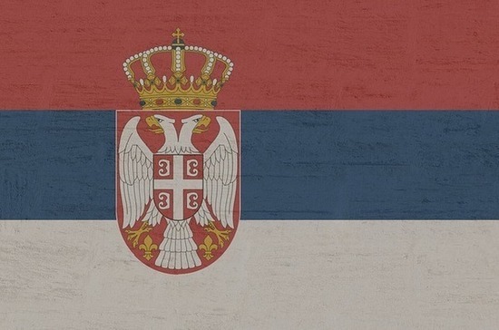 В Сербии не допустят ревизии истории Второй мировой войны, заявил депутат