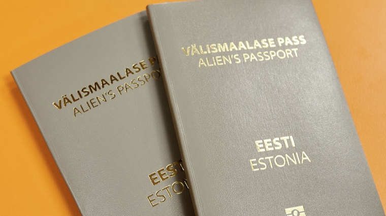 Российские дипломаты напомнили о проблеме массового безгражданства в Эстонии