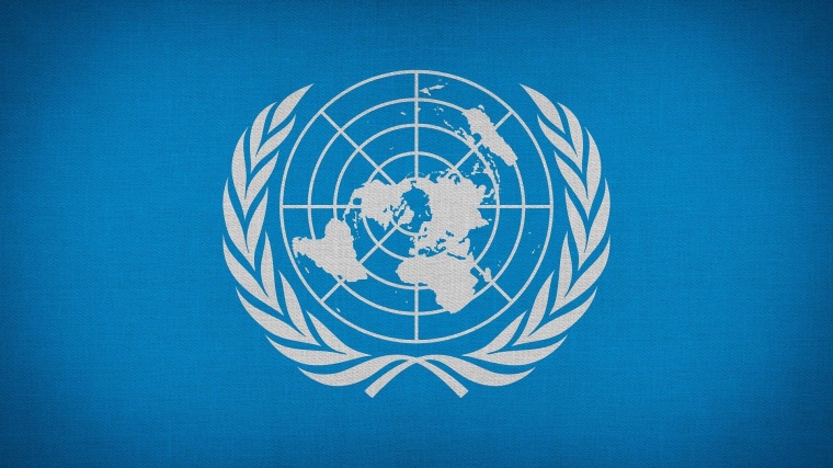 В ООН заявили о дискриминации русскоязычного населения на Украине и в Прибалтике