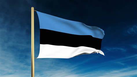 Полиция Эстонии запретила празднование освобождения Нарвы от нацизма