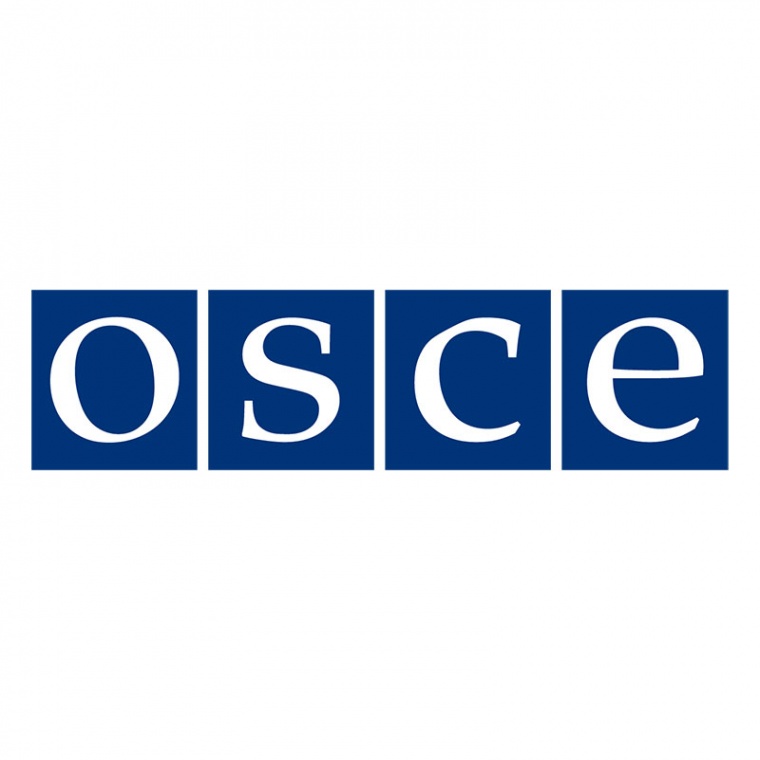 ОБСЕ следит за ситуацией с задержанными в Польше журналистами RT France