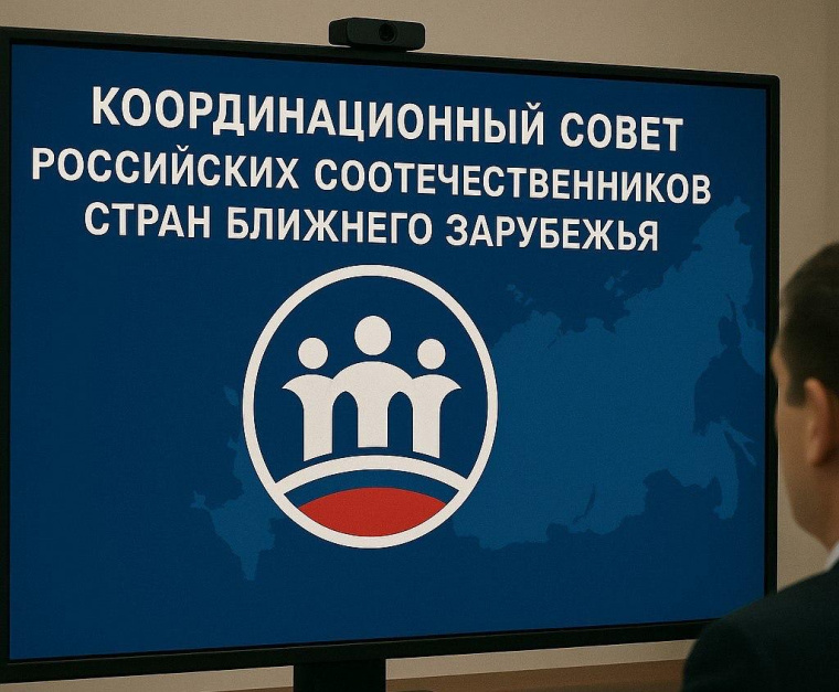 Состоялось онлайн-заседание Регионального координационного совета стран ближнего зарубежья
