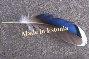 В Эстонии хотят лишить неграждан права голоса: второе чтение законопроекта намечено на 25 февраля