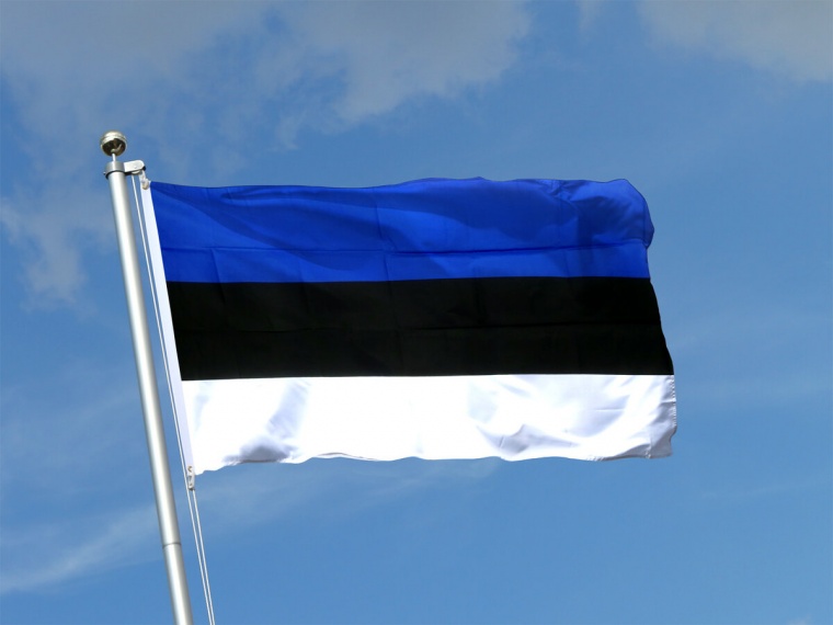 Эстония отказалась выдавать визу российскому дипломату